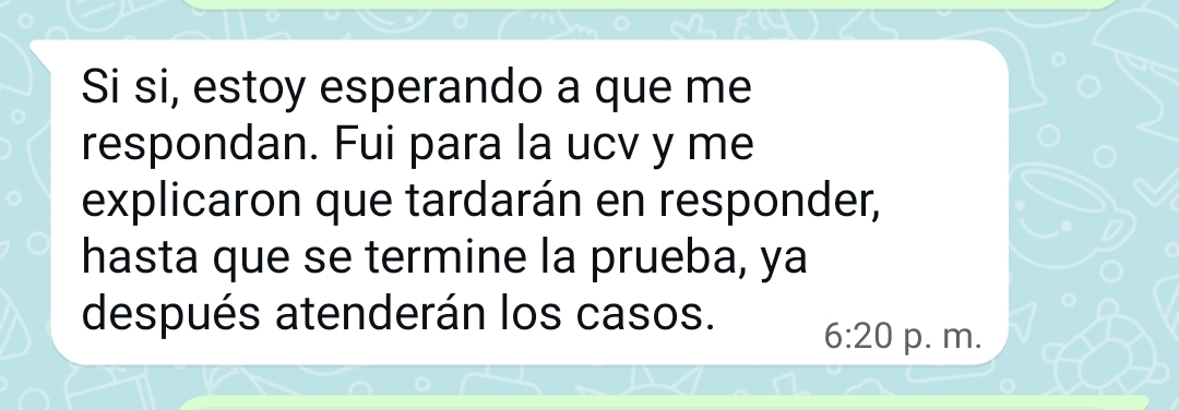 Testimonio 24